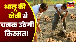 Annadata: आलू की खेती करते समय इन बात का रखें खास ध्यान, कमाएं अधिक मुनाफा । Potato Cultivation