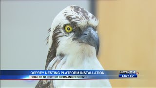 Osprey nesting boxes installed in Mercer and Crawford Counties