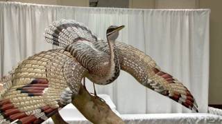 CANADIAN NATIONAL WILDFOWL CARVING CHAMPIONSHIP 2010