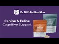 Canine & Feline Cognitive Support | Dr. Bill's Pet Nutrition