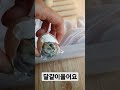 밤새도록 울고있는 병아리 파각 돕기 인공파각