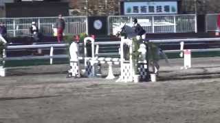 第53回関東学生馬術女子競技大会　障害馬術大会　3年　森彩香　桜宗