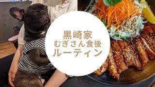 むぎの家　保護犬フレンチブルドッグ　食後ルーティン