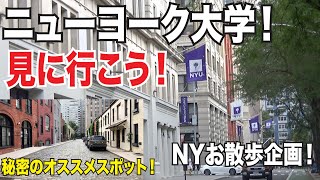 秘密のオススメスポット紹介！ニューヨーク大学周辺をお散歩しよう！【NY散歩】