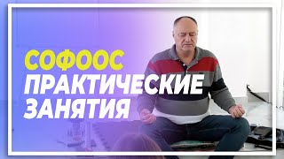 Софоос. Практические занятия.