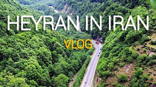 HEYRAN IN IRAN | ROADS OF IRAN | ASTARA IN IRAN | VLOG OF ROADS| ولاگ گردنه حیران در ایران