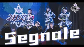 初恋Eternal / Segnale【Official Live Video】