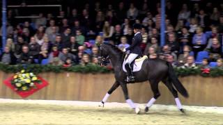 Florenz - Sosath (Stallion Show 2014)