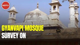 Gyanvapi Survey: Archaeological Body Resumes Scientific Survey Of Varanasi's Gyanvapi Mosque