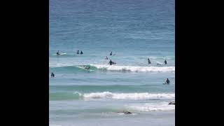 Surfers at Wategos Beach in Byron Bay  #wildlife #canonrf  #travel #byronbay #wategos