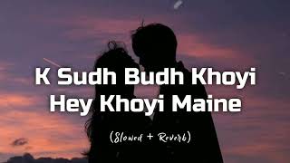 O Sudh Budh Khoyi Hey Khoyi Maine (Slowed + Reverb) || Music Vibes