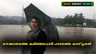 ഇതാണ് കരിഞ്ചാപാടി കാറ്റാടിപ്പാടം