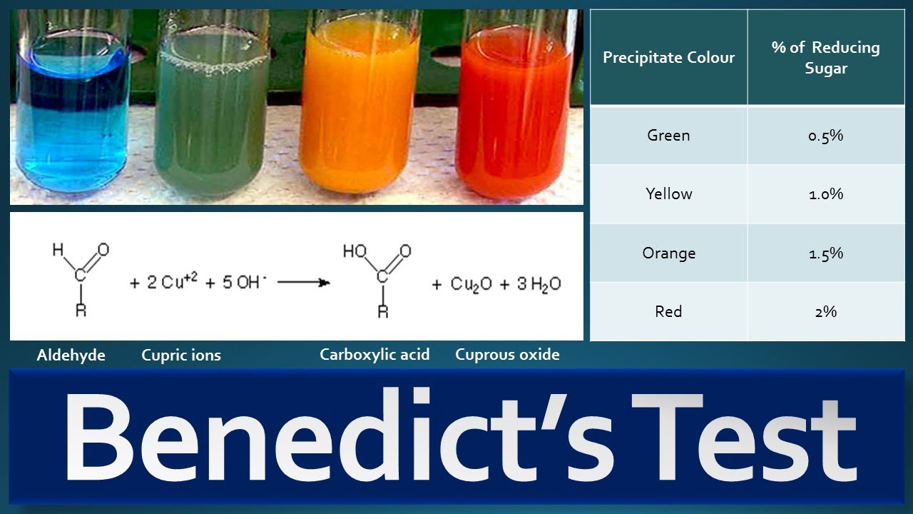 Benedict's Test: Principle, Procedure, Preparation Of Benedict's ...