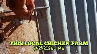 This local chicken farm surprised me