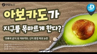 아보카도 많이 먹으면…생산국 산림 파괴되고 가뭄 오나요