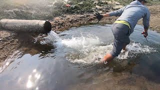 排水口冲出一堆大货，阿波下水捡漏发觉脚面不对劲，慌得撒腿就跑