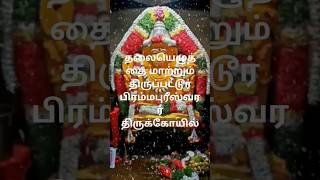 தலையெழுத்தை மாற்றும் திருப்பட்டூர் பிரம்மபுரீஸ்வரர் திருக்கோயில்! #shorts #short #shortvideo #shorts