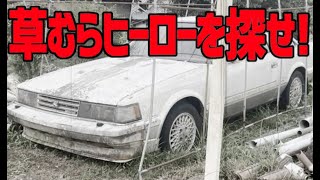 草むらヒーローを探せ！【旧車 廃車 絶版車】