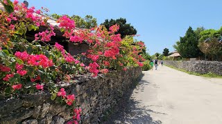 【72歳一人旅】竹富島を時間の流れとともに歩く