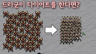 드라군이 다이어트에 성공해버린다면 효율적일까? 스타크래프트1