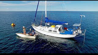 The Calm Before the Storm ⛈️ ⚡ - Free Range Sailing Ep 183
