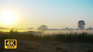 4K Countryside morning sunrise Ambience Window view with Nature Sounds -  No frame