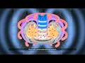 How the Heart of ITER will Electrify Plasma