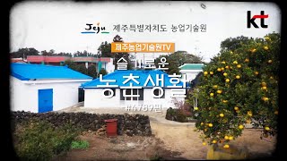 [제주도 홍보영상] 제주농업기술원 \u0026 KT 홍보영상제작_ 제주영상프로덕션 J2EX 제이투익스미디어