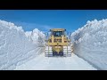 cat d7r s dozing in antarctica