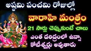 ధనం వర్షం లా కురిపించే వారహీ ధన మంత్రం|varahi nantram|varahi astami పూజ @Pavithratalks