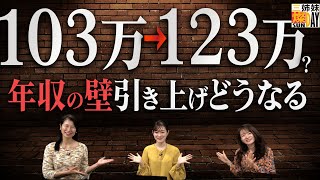 国民の生活を豊かに！年収の壁問題の本質 [三姉妹燦DAY]