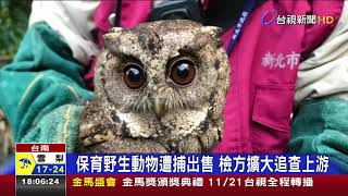 查獲野生動物盜賣集團 逮3嫌救64隻動物