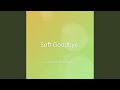 Soft Goodbye