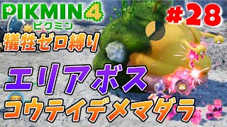 【犠牲ゼロ】コウテイデメマダラが守る！岩オニオン！！【ピクミン4/PIKMIN4/無犠牲縛り】