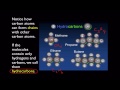 unit 2 monomers vs polymers