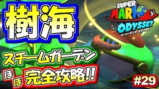 【Switch】森の国！樹海に潜む巨大恐竜！スーパーマリオオデッセイ実況プレイ!! Part29