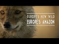 The Danube Delta | Europe's Amazon | Europe's New Wild