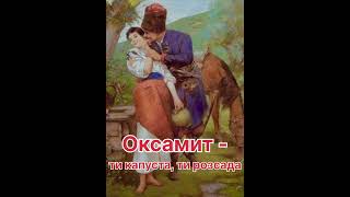 Оксамит - ти капуста, ти розсада