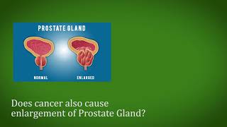 Does cancer also cause enlargement of prostate gland? Prostate Enlarged Cancer - Dr. Amrith Rao