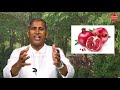 3 పండ్లకు దూరంగా ఉంటే ఆరోగ్యం good fruits for health best froots manthena satyanarayana good health