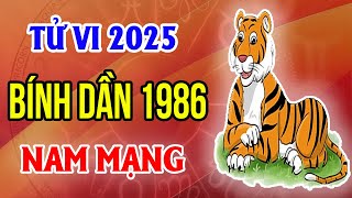 Xem Tử Vi Nam Mạng Tuổi Bính Dần 1986 Năm 2025 Ất Tỵ