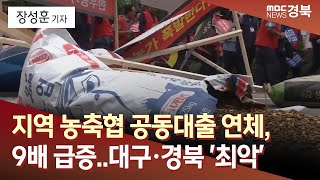 [R] 지역 농축협 공동대출 연체, 9배 급증..대구·경북 '최악' / 안동MBC