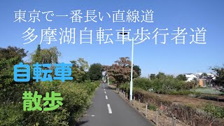 多摩湖自転車歩行者道