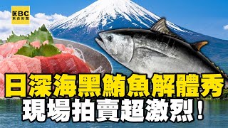 【精選】深海黑鮪魚「肥美解體秀」現場拍賣超激烈！日本靜岡「年捕獲13萬噸」製造131億龐大商機｜聚焦全世界｜舒夢蘭