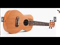 Nak beli ukulele tak?