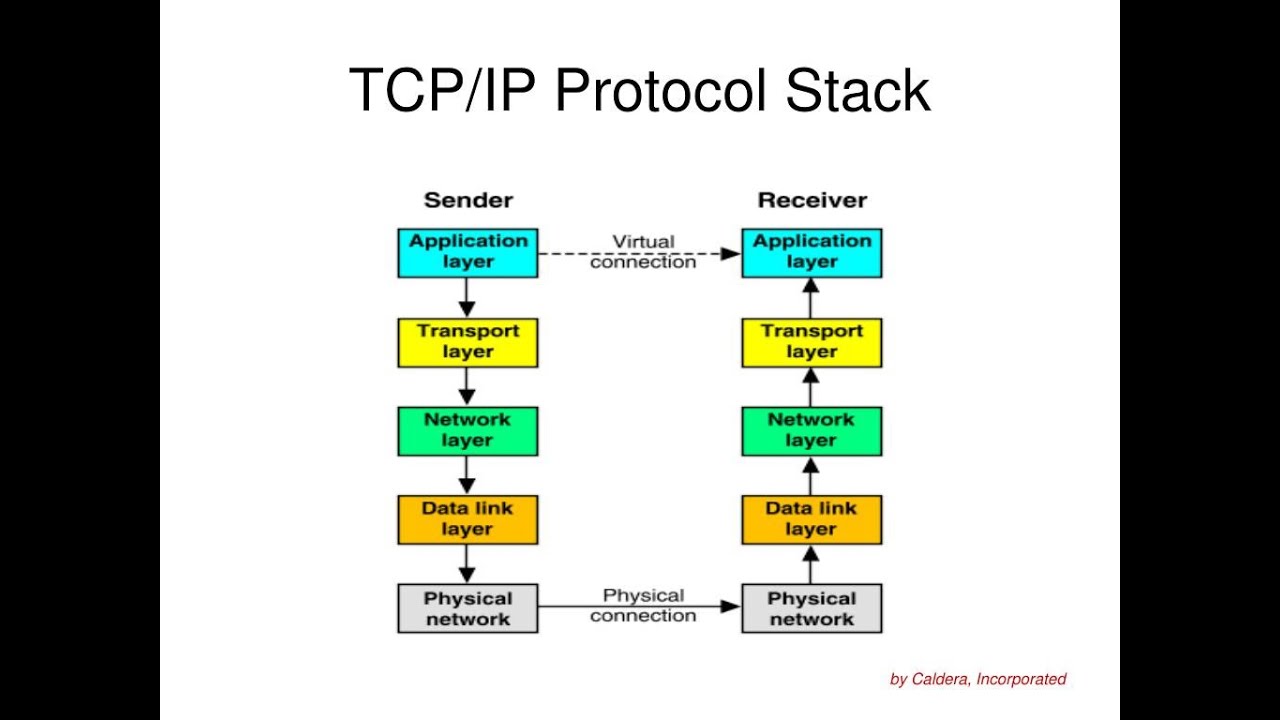 Internet Protocol Transmission Control Protocol At Gary Delariva Blog