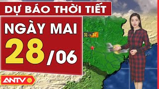 Dự báo thời tiết ngày mai 28/6: Hà Nội trưa chiều hửng nắng, TP. HCM chiều tối có mưa vài nơi | ANTV