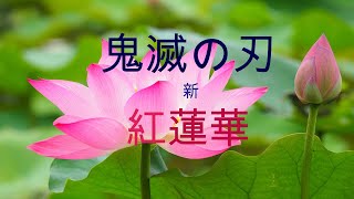 【鬼滅の刃】の主題歌【紅蓮華】をリコーダーで吹いてみた！