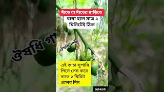 #trendingshorts #shortvideo #vairalvideo #ভিডিওটি ভালো লাগলে চ্যানেলটি সাবস্ক্রাইব করুন