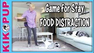 Stay with food distractions - Down stay sit stay